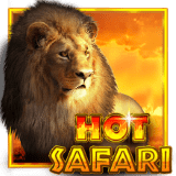 Hot Safari